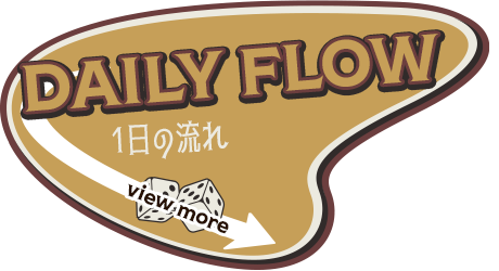 _half_bnr_flow