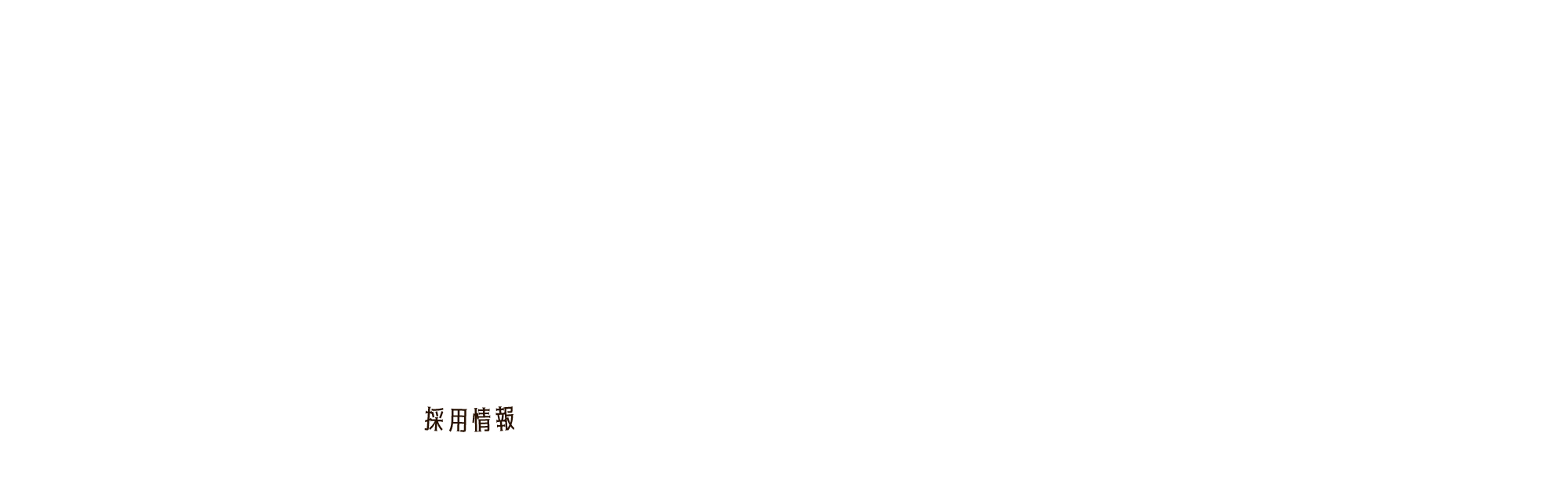 採用情報